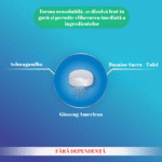 FORTÉ ZEN STRESS FLASH