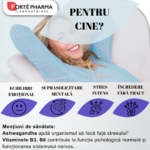 FORTÉ ZEN STRESS FLASH 10 tablete orodispensabile