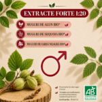 Prostate 3 Gemmo Bio