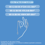 Stress 3 Gemmo Bio 30 ml - Santarome Bio