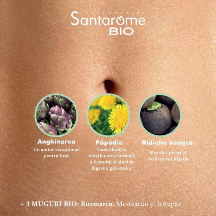 Bien-Etre Du Foie - Hepatonic Bio 20 fiole Santarome