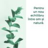 Alchida Nature