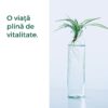 Alchida Nature