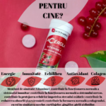 Acerola 12 cpr - Forte Pharma