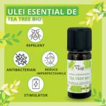 Arbore de ceai bio