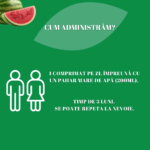 Expert Cheveux 28 cpr Forte Pharma