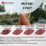 ForteVeinol 12H 30 cpr - Forte Pharma