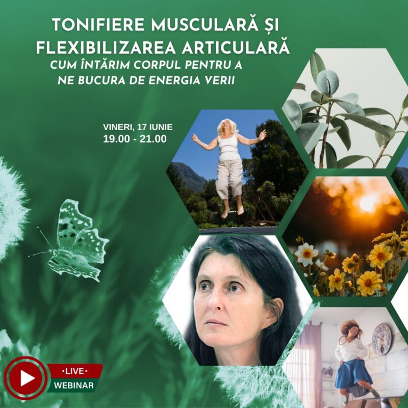 webinar 17 iunie