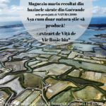 Magneziu-Marin-Hyposodic&Vita-vie-rosie