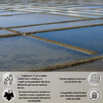 Magneziu-Marin-Hyposodic&Vita-vie-rosie