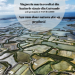 Magnezium Marin Hyposodic Concentrat Algosource