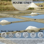 Magnezium Marin Hyposodic Concentrat Algosource