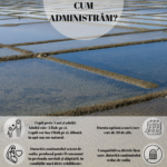 Magnezium Marin Hyposodic Concentrat Algosource