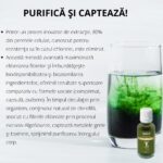 Nectar Chlorella Bio