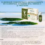 Nectar Chlorella Bio