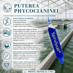 Spirulysat-Original-Algosource