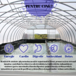 Spirulysat-Original-Algosource