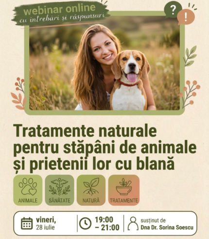 Webinar 28 iulie