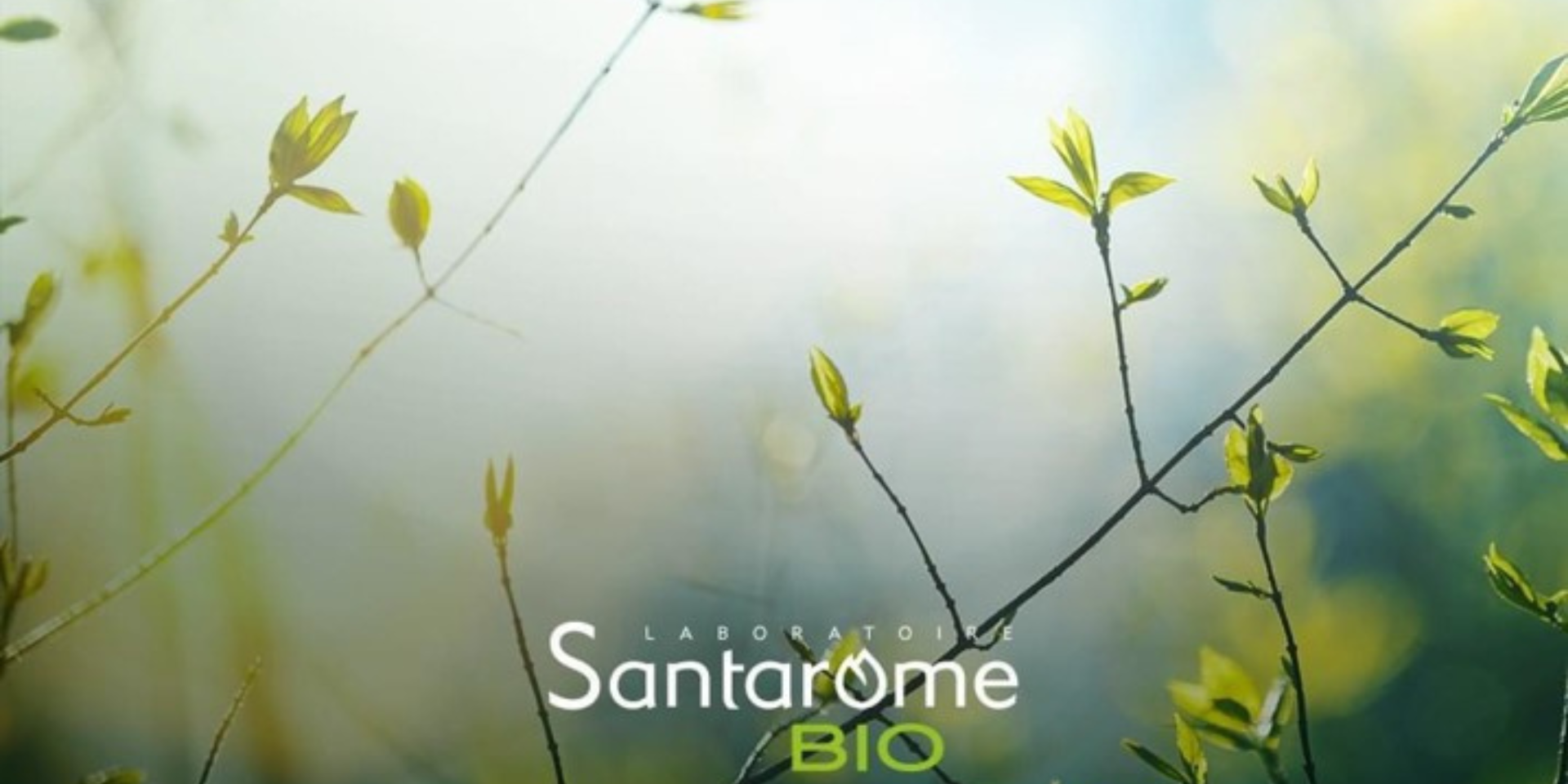 Articol Santarome
