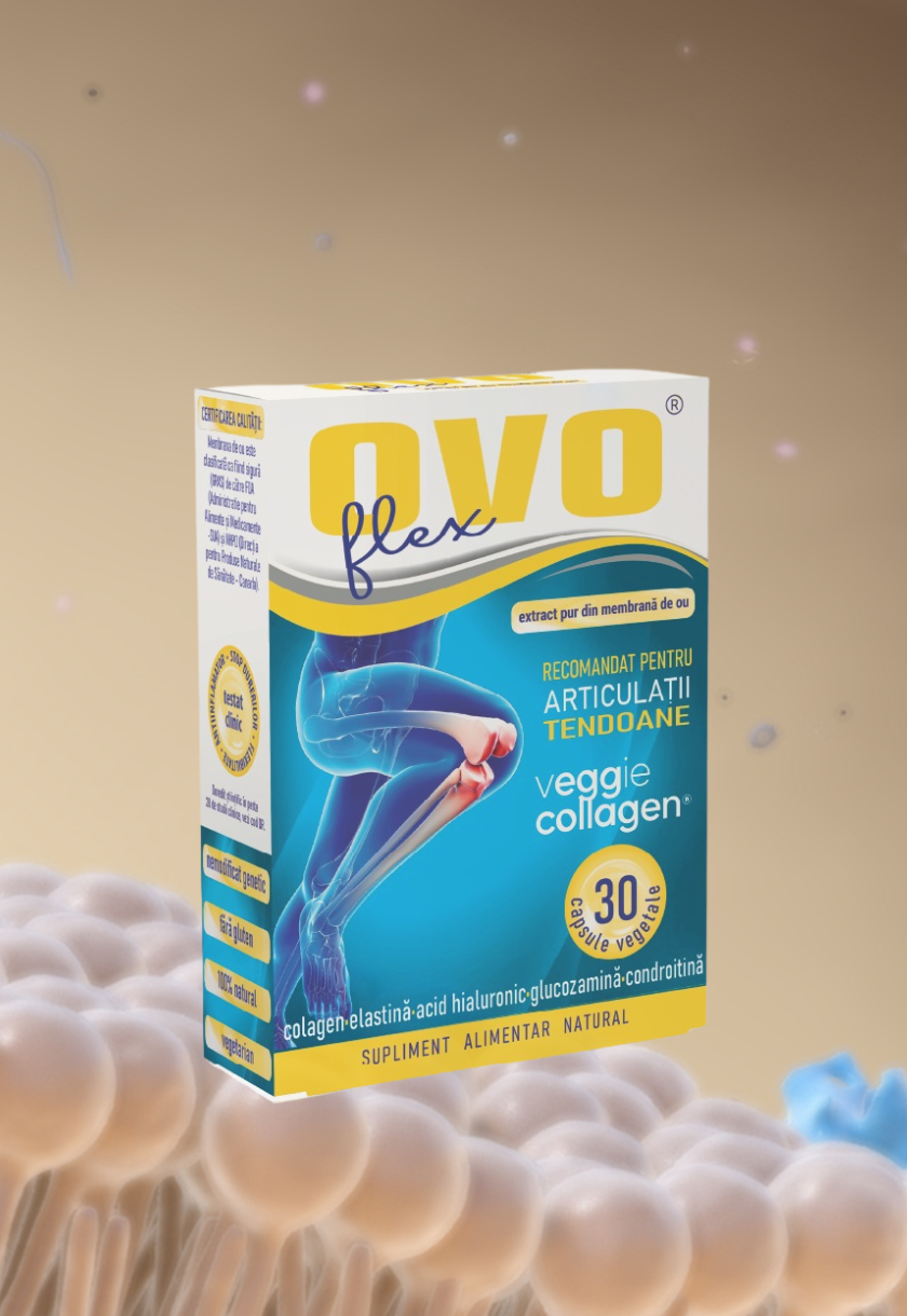 Ovo mobil