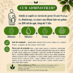 Seva Mesteacăn Bio Santarome