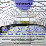 Spirulysat-si-cupru-20-fiole-Algosource