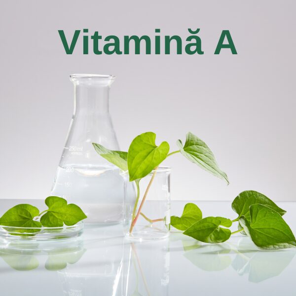 Vitamina A