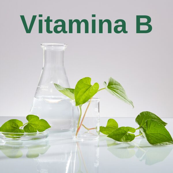 Vitamina B