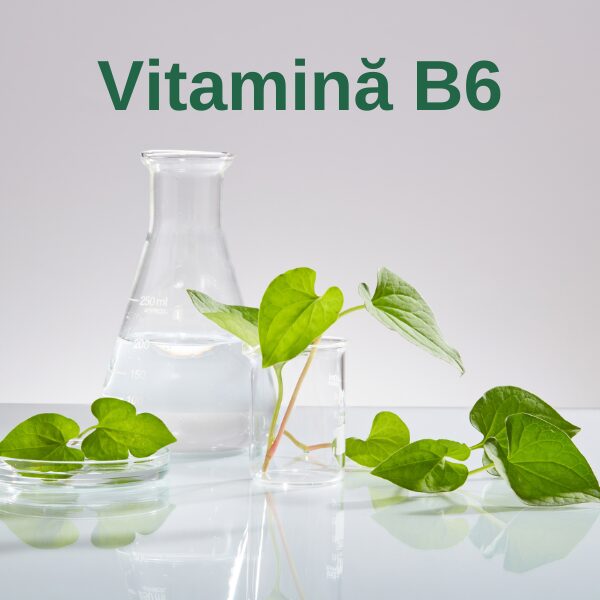 Vitamina B6