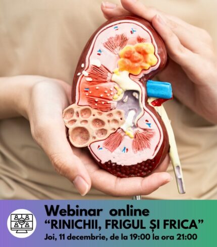 webinar 11 decembrie