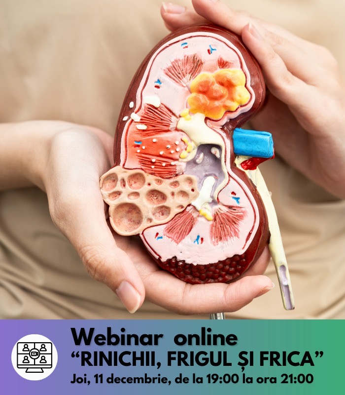 webinar 11 decembrie