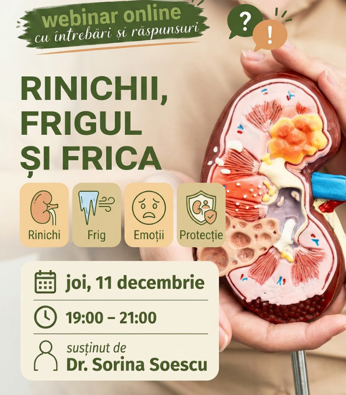 Webinar 11 dec.