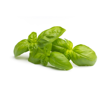 Busuioc