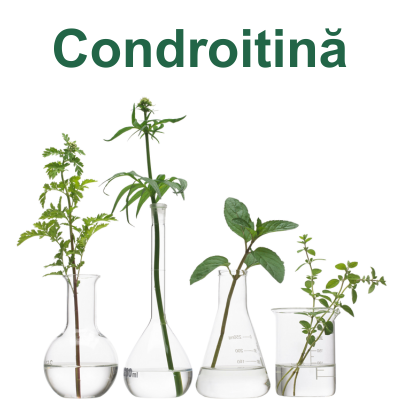 Condroitină