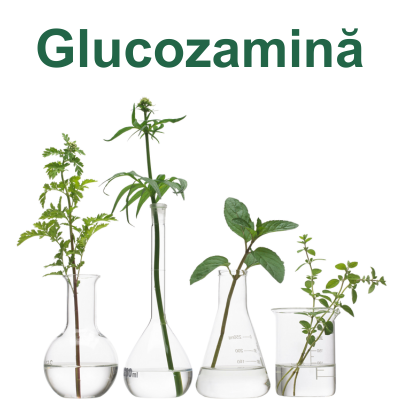 Glucozamină