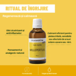 Ulei sunătoare Bio 50 ml