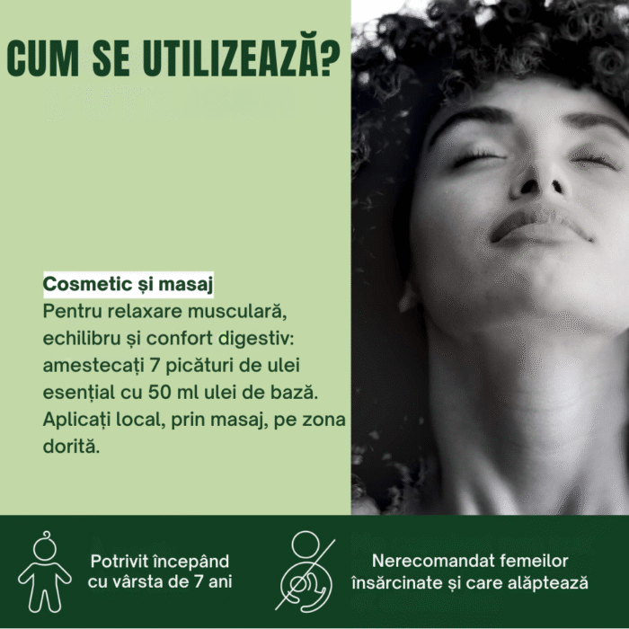Ulei esențial de Busuioc exotic Bio 10 ml