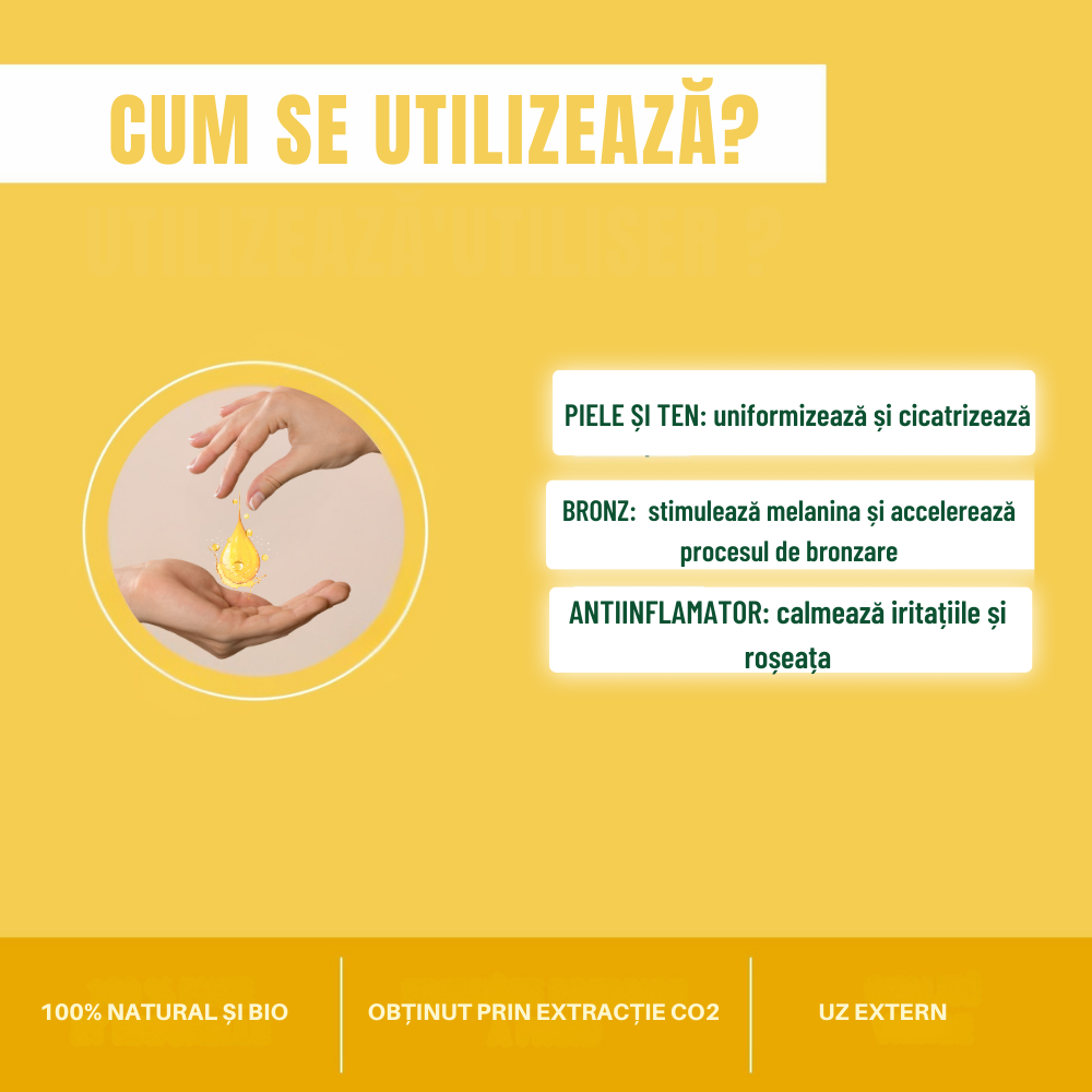 Ulei morcov bio 50 ml Ulei morcov bio 50 ml