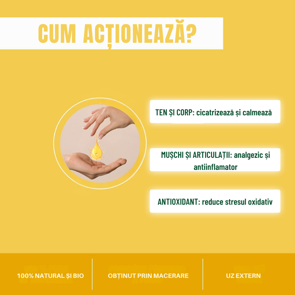 Ulei sunătoare Bio 50 ml Ulei sunătoare Bio 50 ml