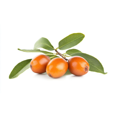 Jojoba