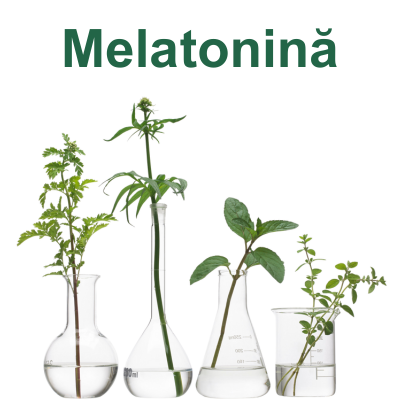 Melatonină