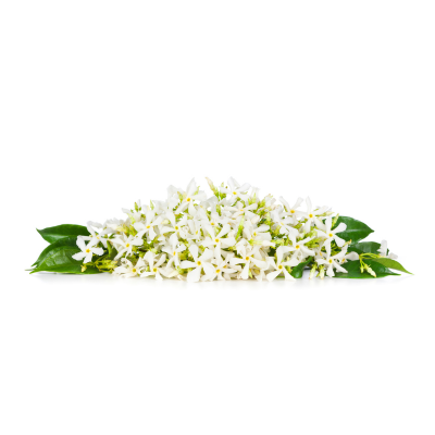 Neroli