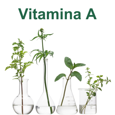 Vitamina A