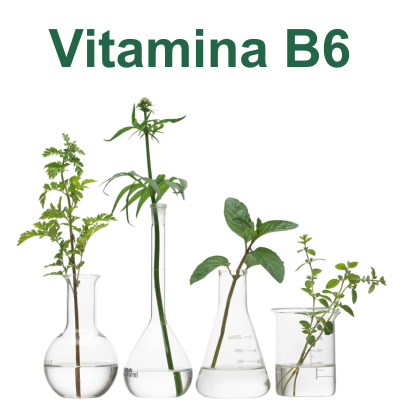 Vitamina B6
