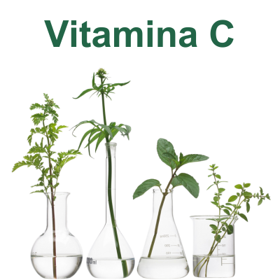 Vitamina C