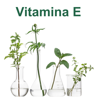 Vitamina E