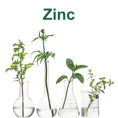 Zinc