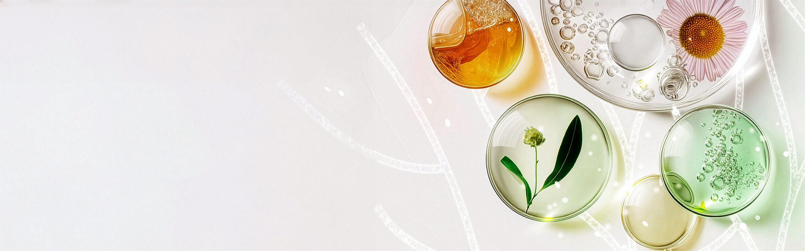 Ingrediente Alchida Nature