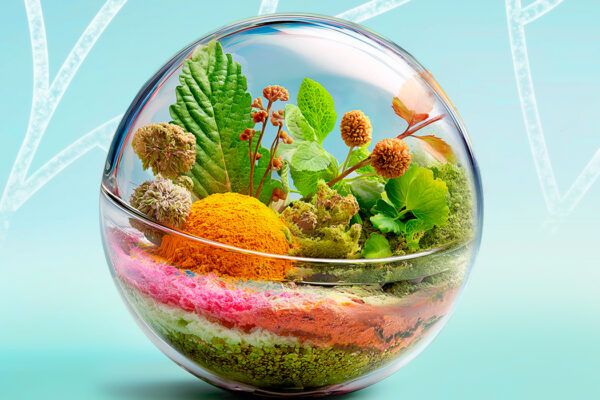 Suplimente Alchida Nature