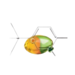 Capsula Oleobiotic respirator